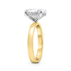 Leja| Oval Moissanite Hidden Halo Flat Shank 14K Yellow Gold Engagement Ring - Diamond Daughters, Top Side View