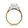 Corrine| Emerald Trapezoid Side Stone Moissanite 14K Yellow Gold Engagement Ring - Diamond Daughters, Top View