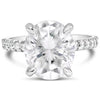 Ally |  Oval Moissanite 14k White Gold Engagement Ring - Diamond Daughters, Front View