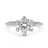 Jade | Round 6 Prong Flower Head Hidden Halo 14K White Gold Engagement Ring - Diamond Daughters, Front View 