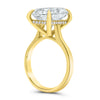 Nishika | Radiant Moissanite Engagement Ring - Diamond Daughters