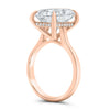 Nishika | Radiant Cut Cathedral Hidden Halo 14K Rose Gold Engagement Ring - Diamond Daughters, Top Side View