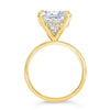 Rose | Elongated Cushion Moissanite Engagement Ring - Diamond Daughters