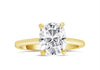 Rose | Elongated Cushion Moissanite 14k Yellow Gold Engagement Ring - Diamond Daughters, Front View