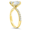 Vanessa | Emerald Cut Hidden Halo Pave Band 14K Yellow Gold Engagement Ring - Diamond Daughters, Front View